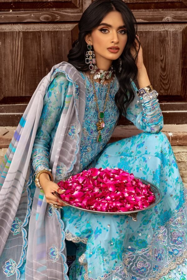 Luxury Chiffon Collection VSL25-13 | Vasal | Charizma - Image 2