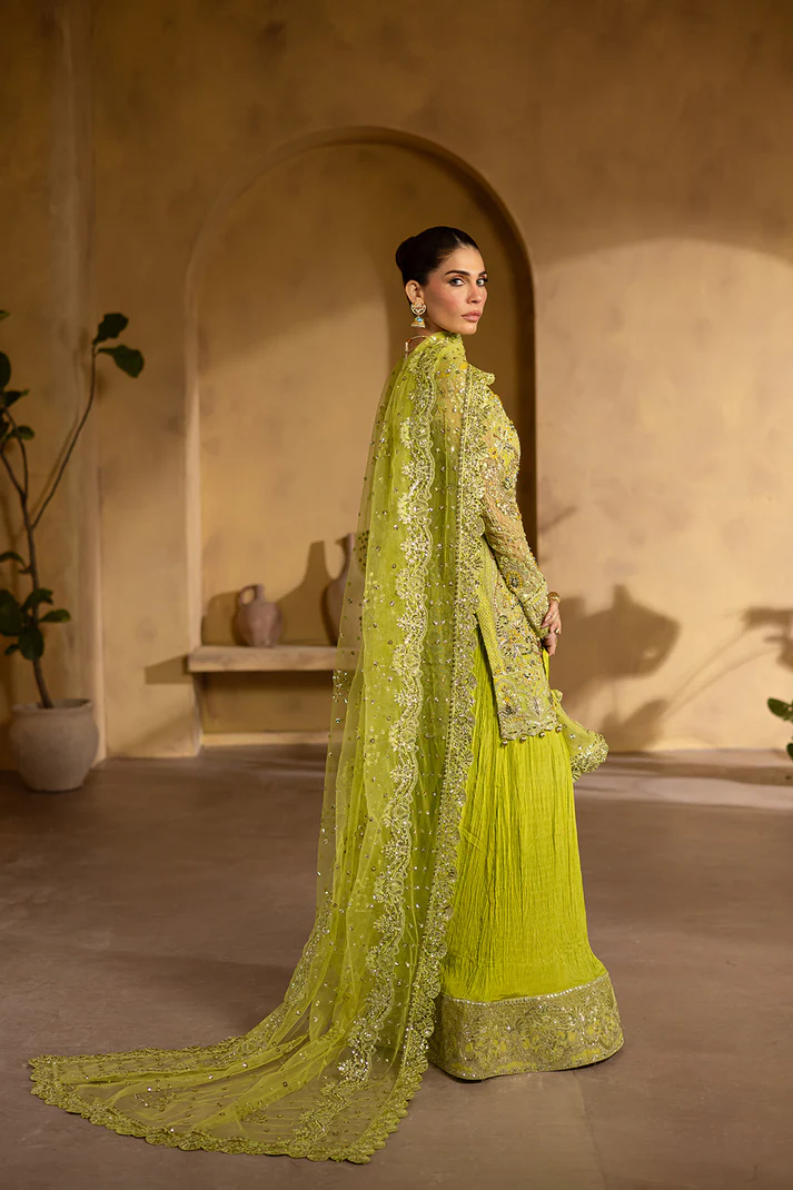 Regalia Luxury Formals by Emaan Adeel - BERYL - Image 5